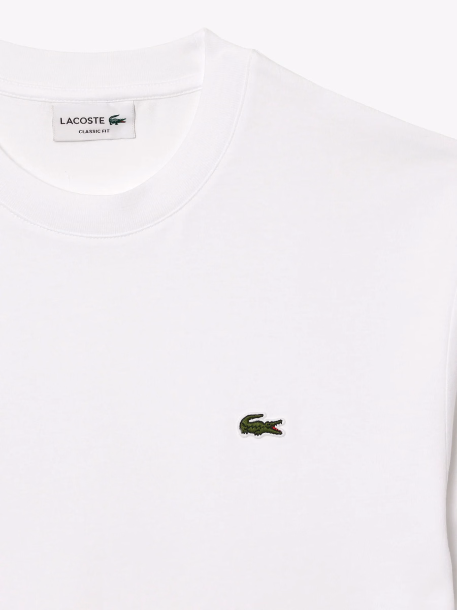 T-shirt in cotone