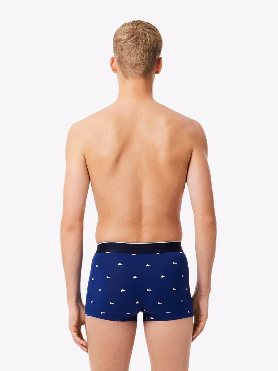 Slip stampati elasticizzati in confezione da 3