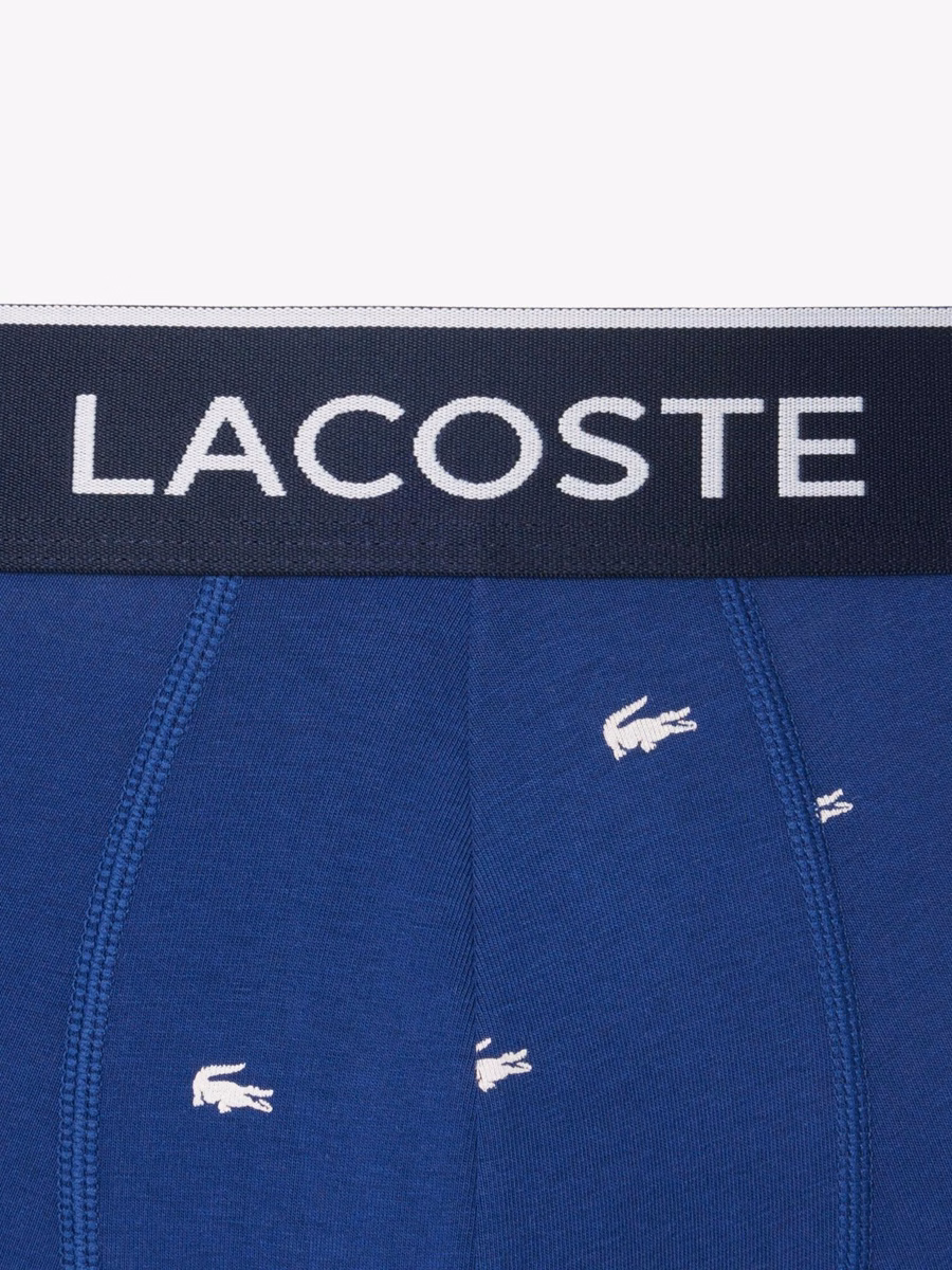Slip stampati elasticizzati in confezione da 3